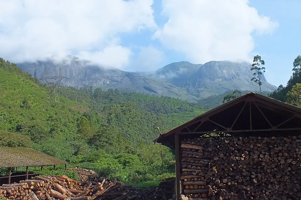 Anaimudi Peak