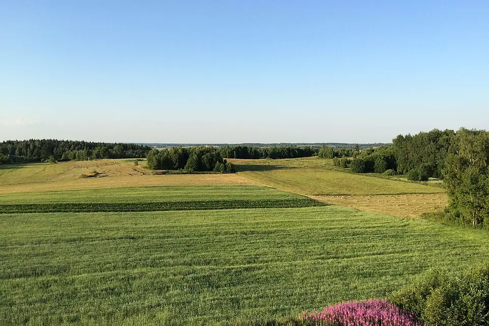 Aukštojo kalnas - panoramio (2)