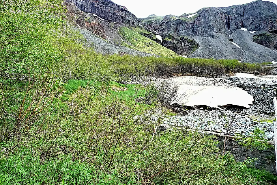 Changbai Mountain 長白山 - panoramio (2)