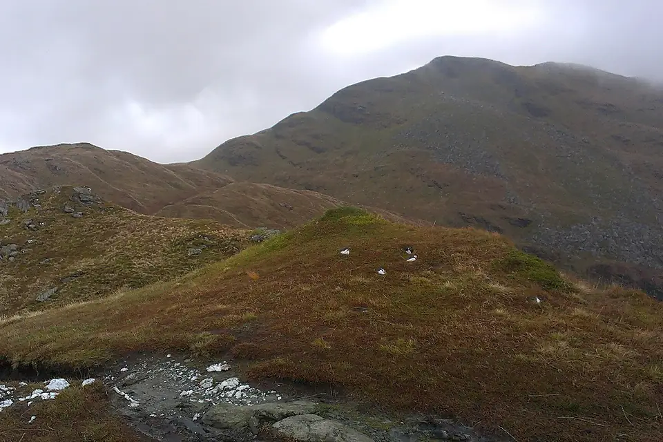 A Ben Lomond csúcsa a Ptarmigan-nyereg irányából