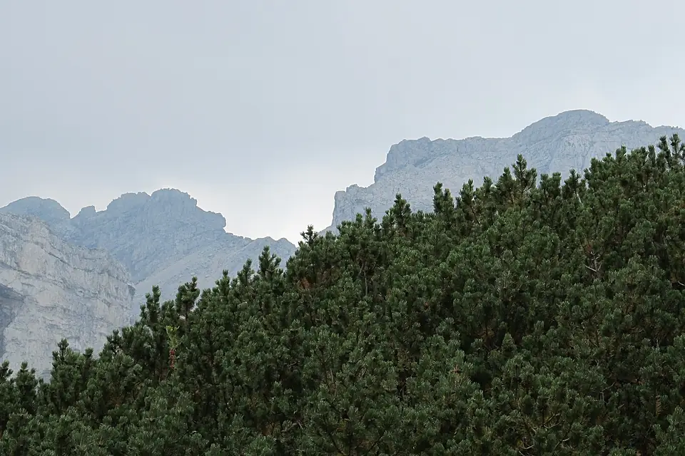 Bobotov Kuk i Bezimeni Vrh - panoramio