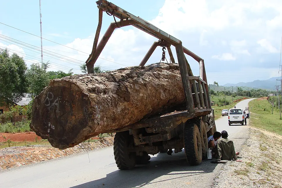 Laos - Bolaven Plateau - Logging