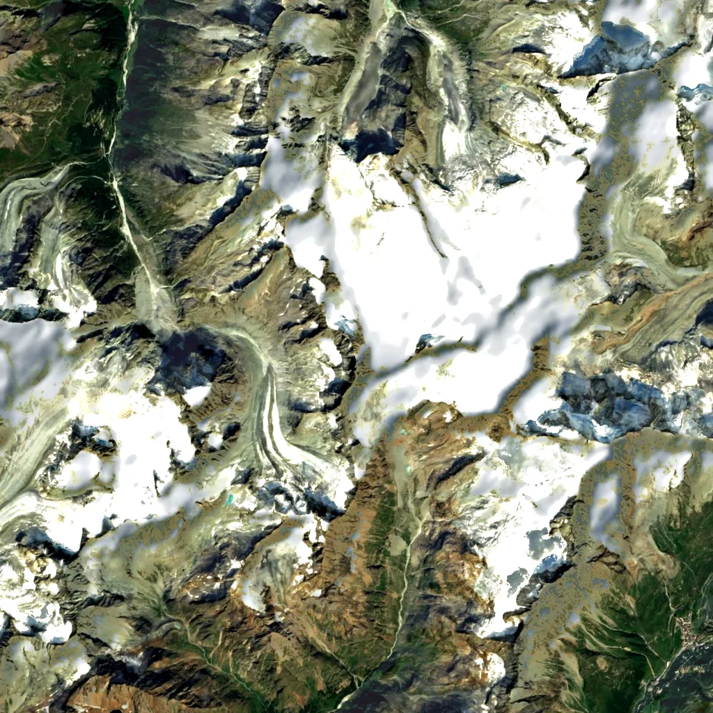 Bouquetins seen from above (Sentinel-2)