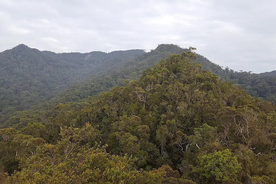 Bukit Pagon