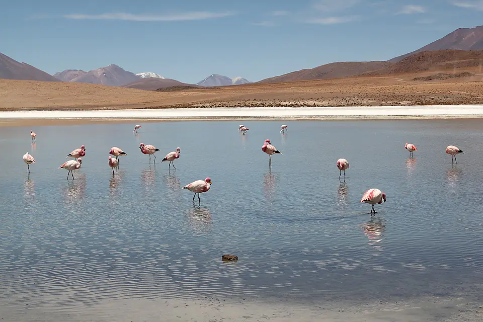 Laguna Cañapa y volcanes
