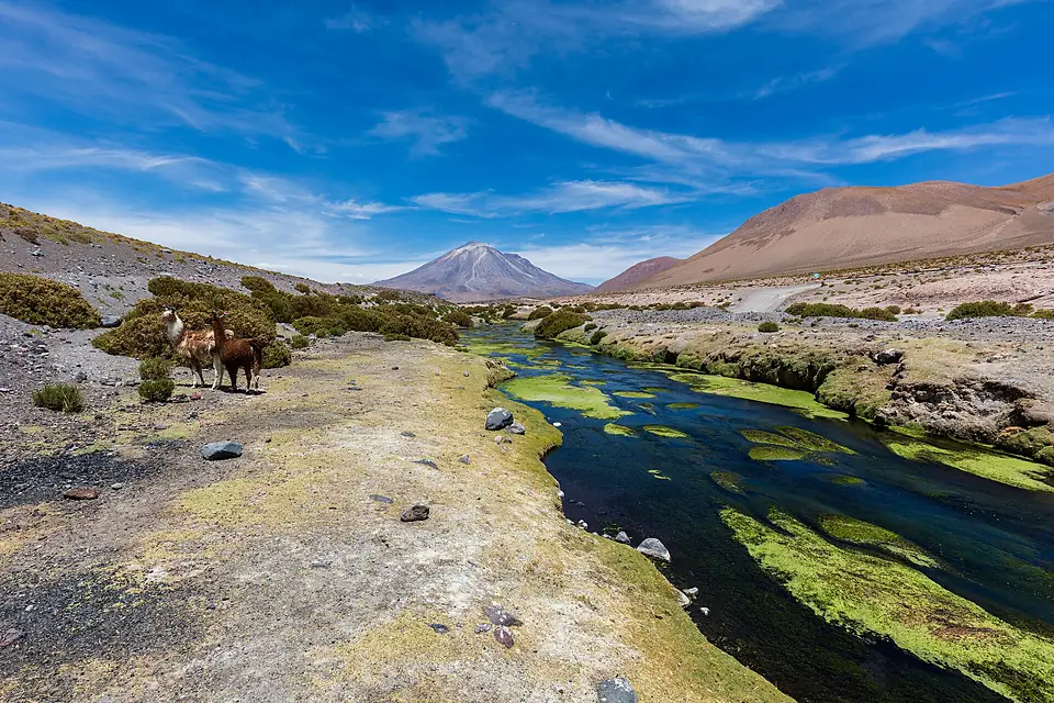 Volcán Paniri, Chile, 2016-02-09, DD 22