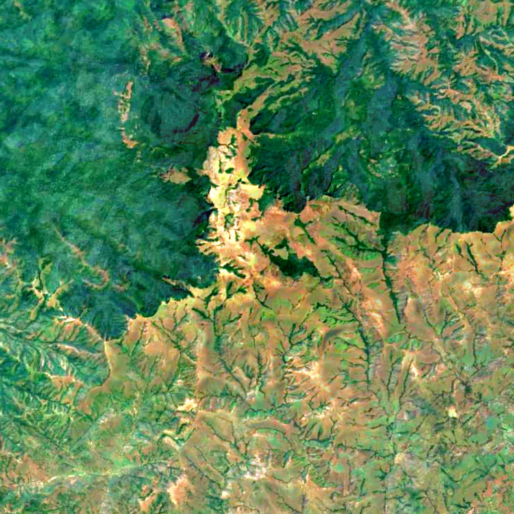 Chappal Waddi seen from above (Sentinel-2)