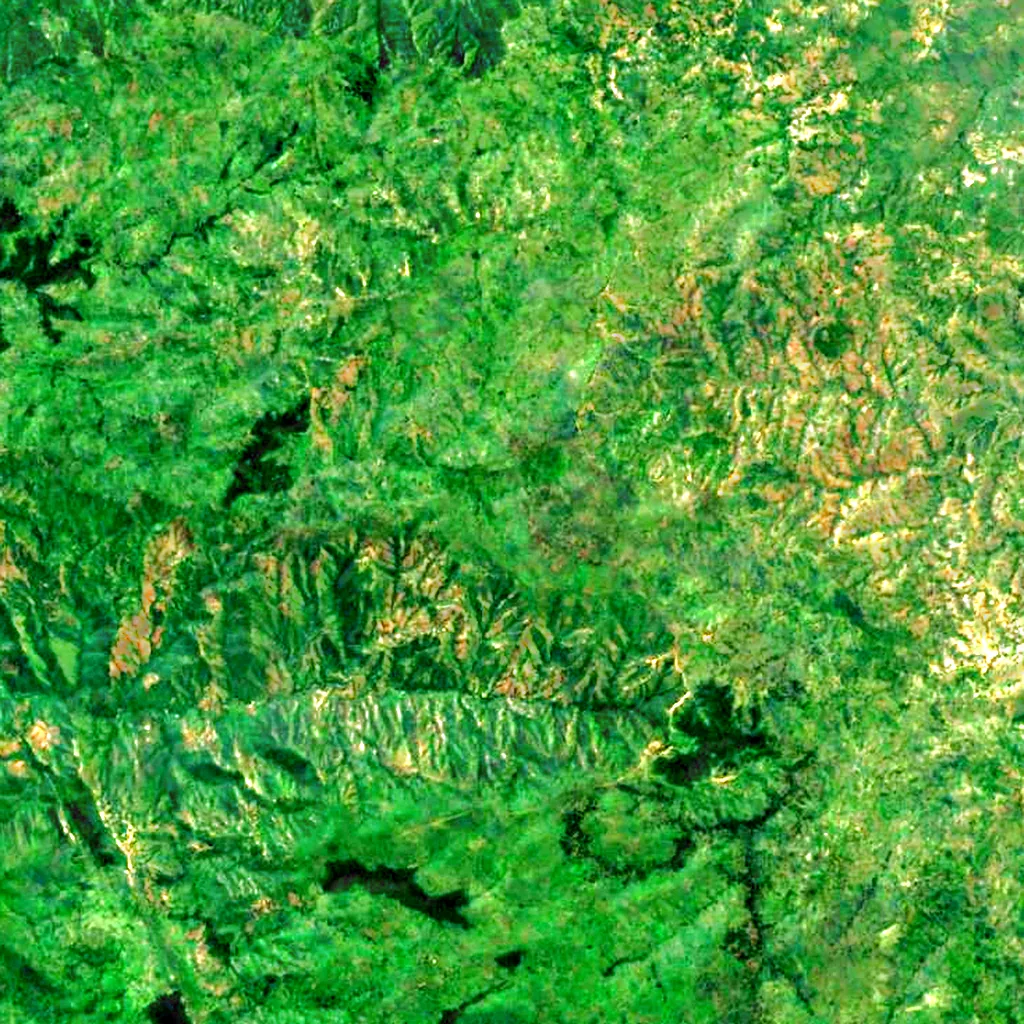 Didinga Hills seen from above (Sentinel-2)