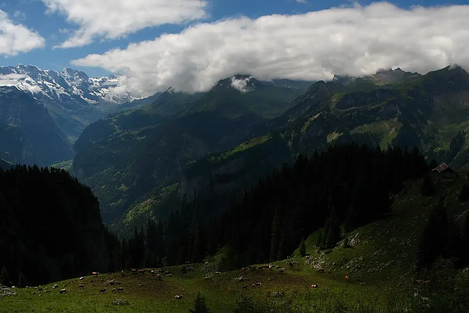 5651-5652 - Schynige Platte - View of Jungfrau and Lauterbrunnental