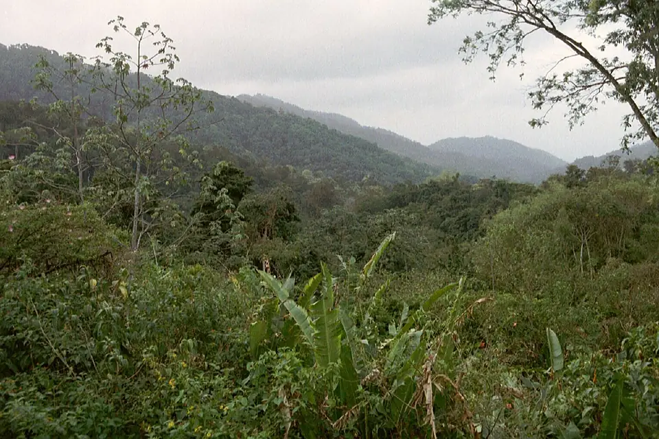 Asa Wright Nature Centre, Northern Range, Trinidad, Trinidad and Tobago -view-3June2006