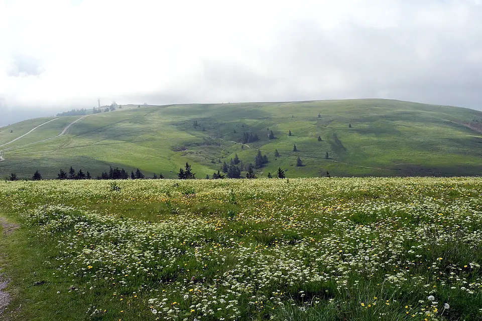 Feldberg (9326917664)