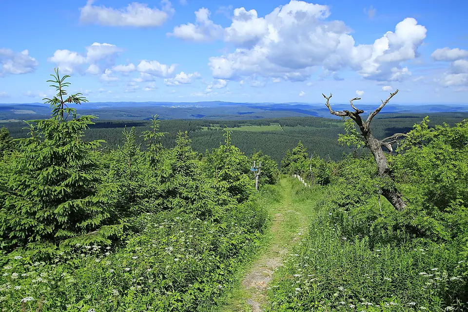 Auf dem Fichtelberg im Erzgebirge, Sachsen..2H1A2818WI