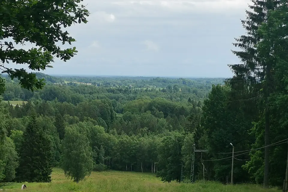 View from Gaizinkalns