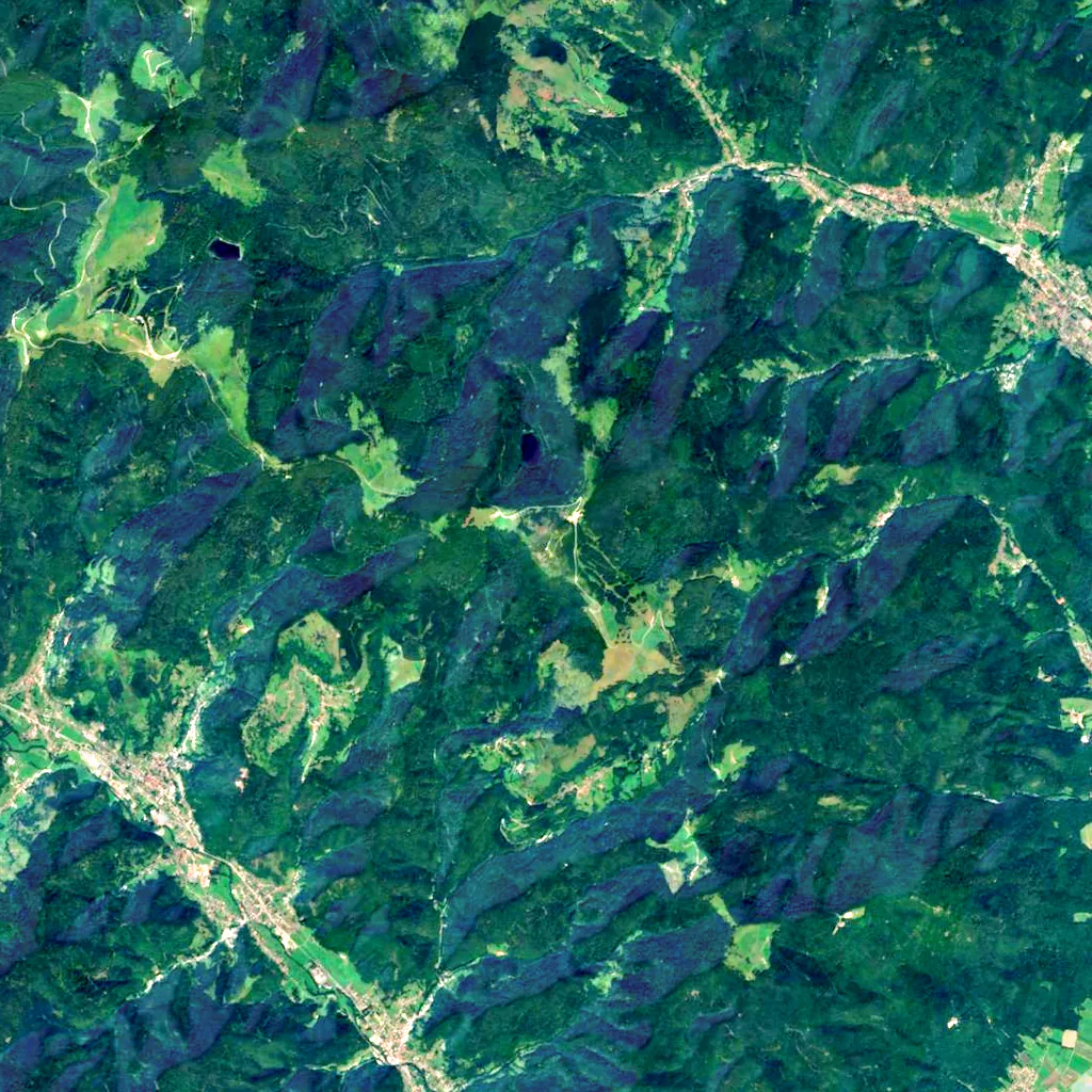 Grand Ballon seen from above (Sentinel-2)