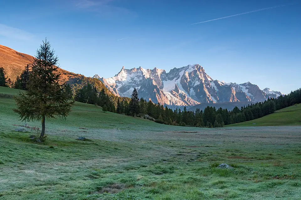 Dente del Gigante e Grandes Jorasses da Petosan