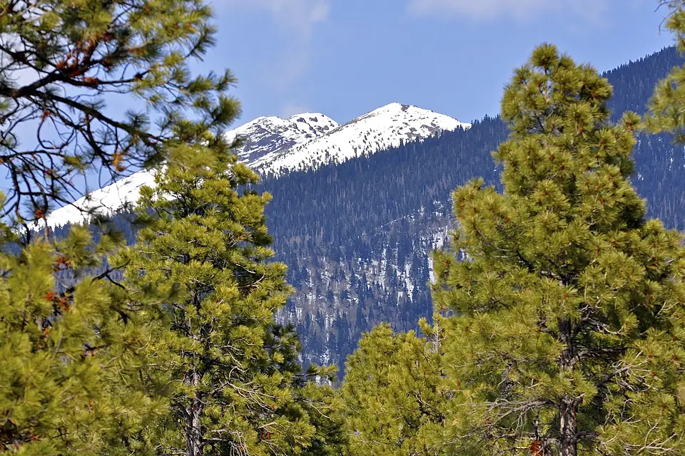 Humphreys Peak (4462263631)