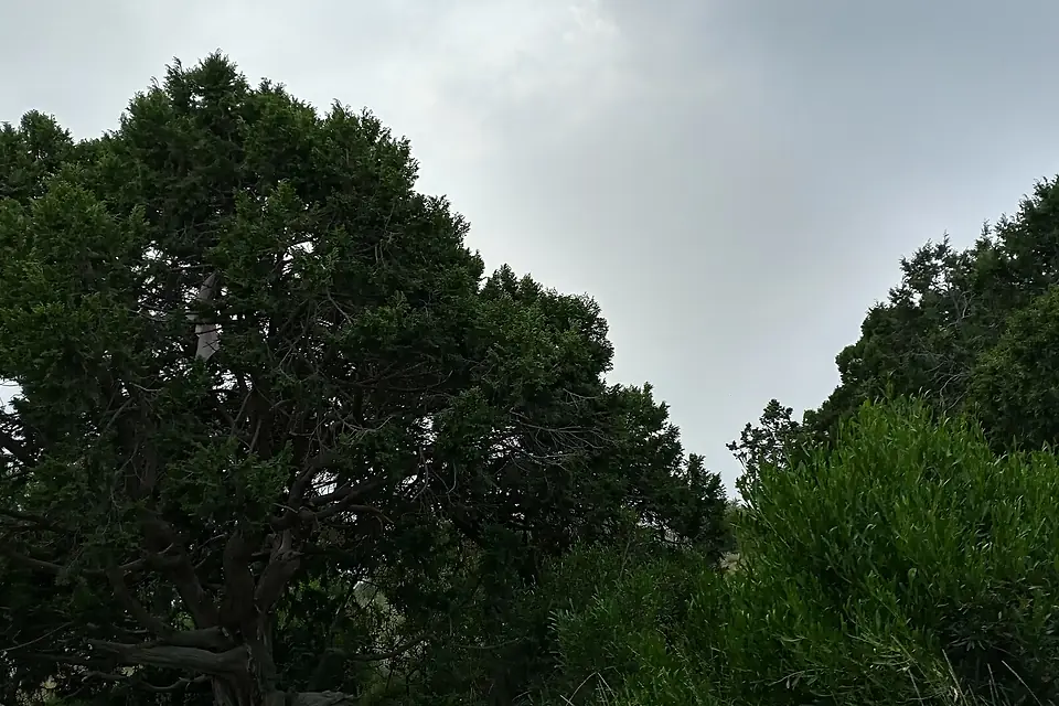 Al Souda Hill top 02