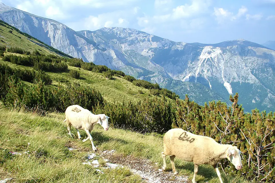 Jakupica Mountain, Republic of Macedonia 01