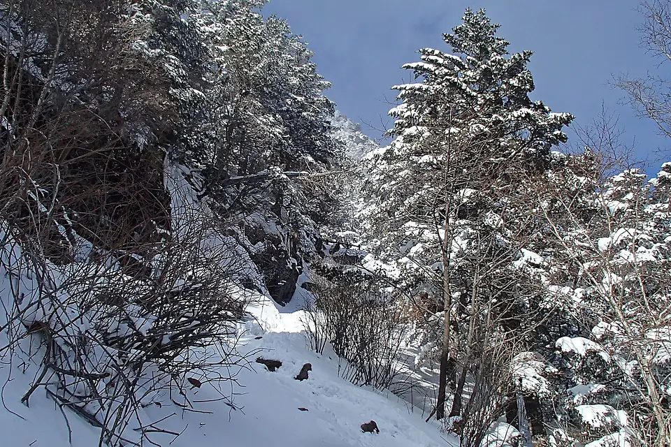 Hiking Jirisan in the Winter