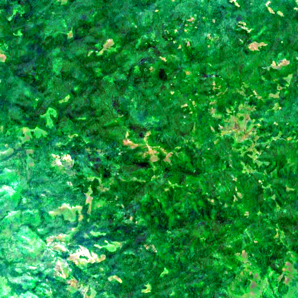 Kinyeti seen from above (Sentinel-2)