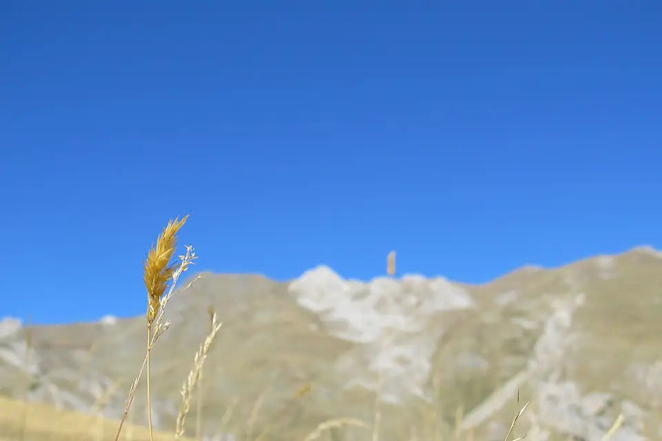 Korab Mountain 2