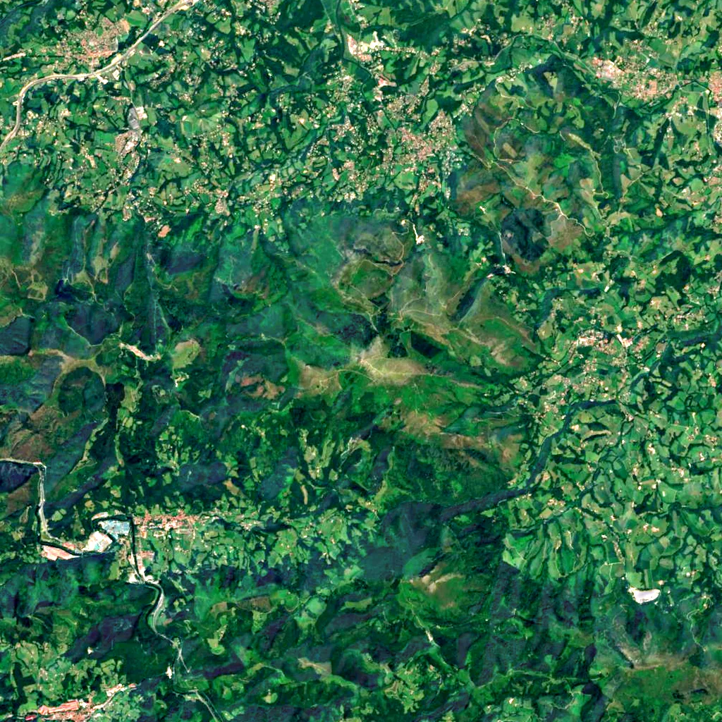Larrun seen from above (Sentinel-2)