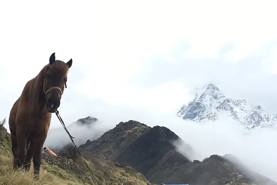 A different view of Mt. Machhapuchhre