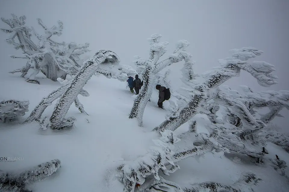 Cika Mountain 2048m. Vlora 4