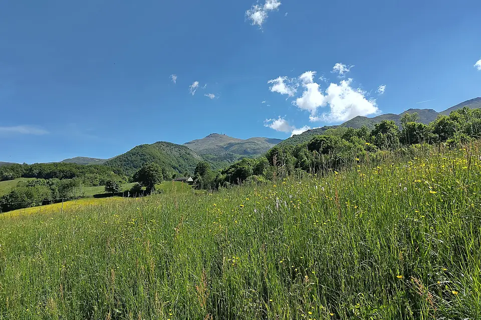 Hiking around Monte Cimone (26143)