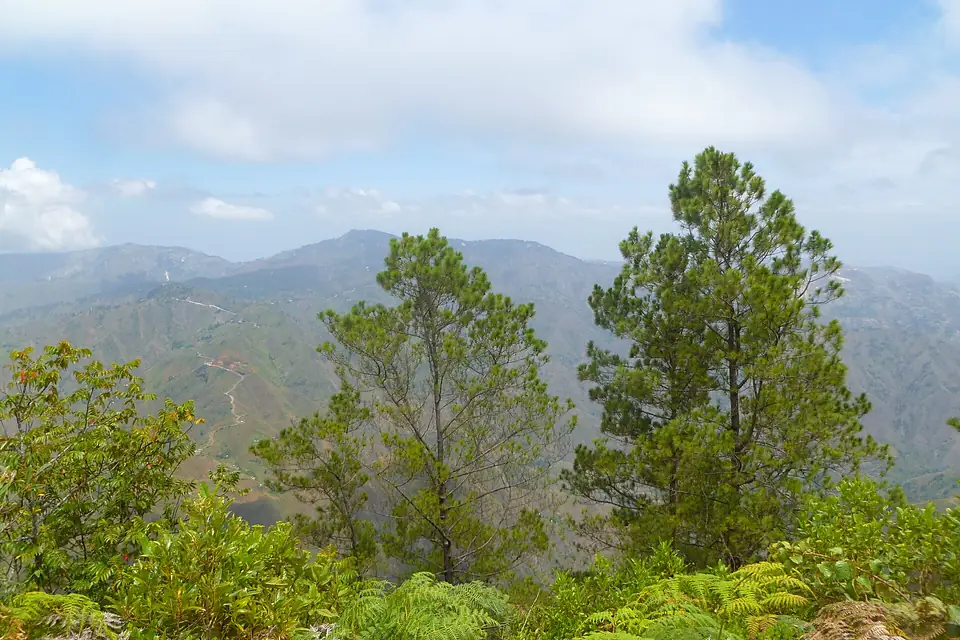 Sommet du Morne La Visite - panoramio