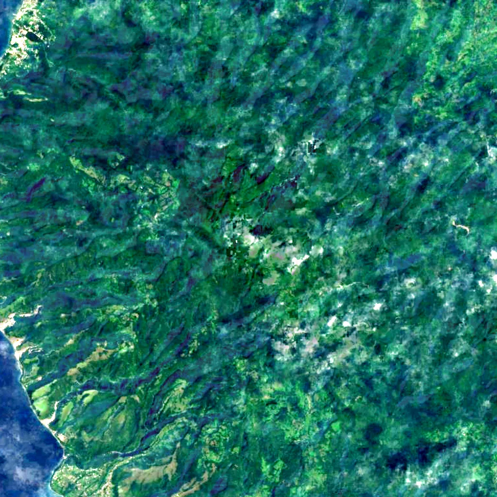 Morne Diablotins seen from above (Sentinel-2)