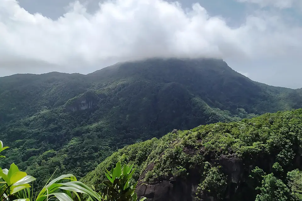 Morne Seychellois National Park Mahe Seychelles
