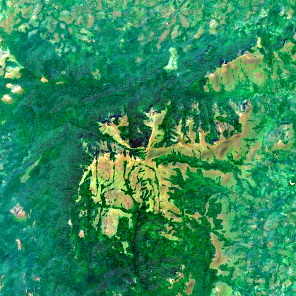 Mount Bintumani seen from above (Sentinel-2)