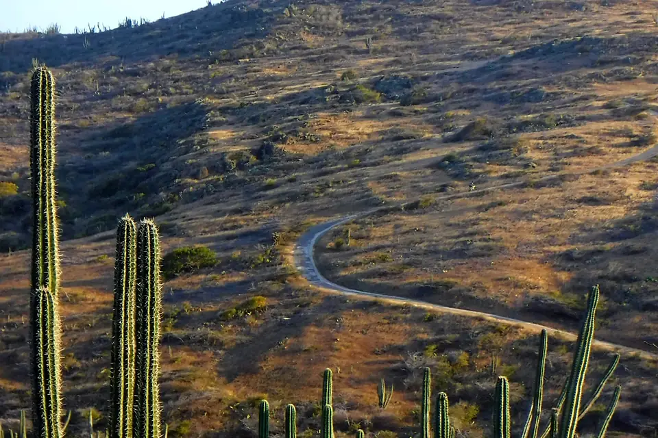 Sero Jamanota, Aruba