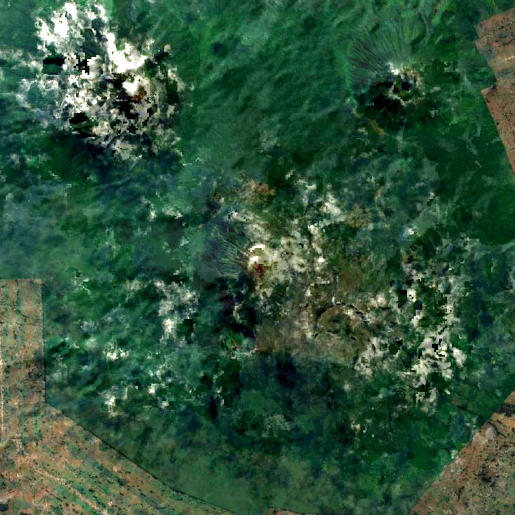 Mount Karisimbi seen from above (Sentinel-2)