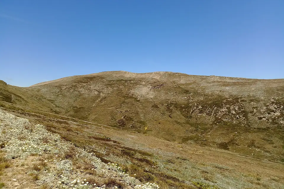 Kosciusko Mountain view from the track
