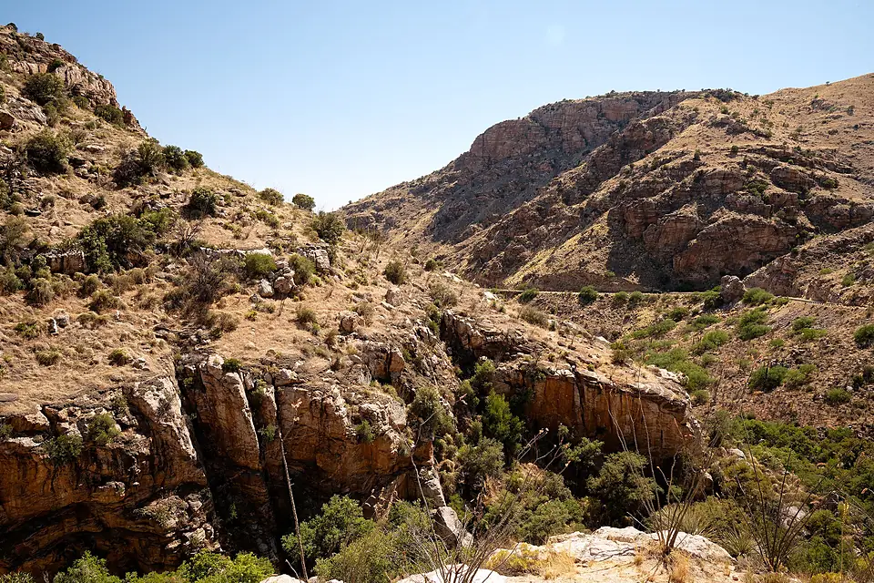 2022-06-15 USA, AZ, Mt Lemmon DSC 6276 DxO