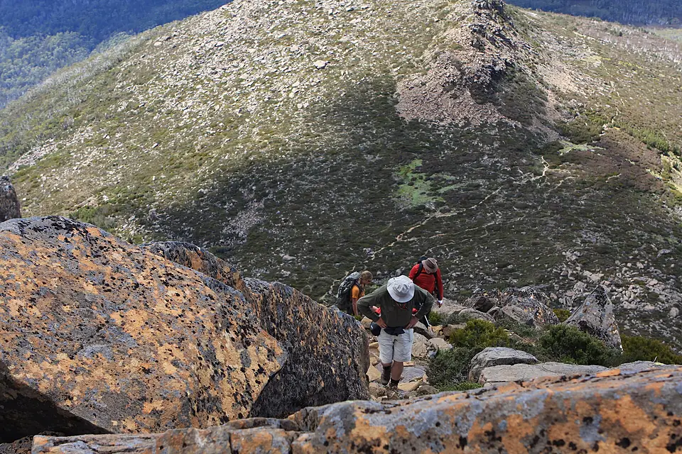 Hiking up Mount Ossa - Flickr - brewbooks