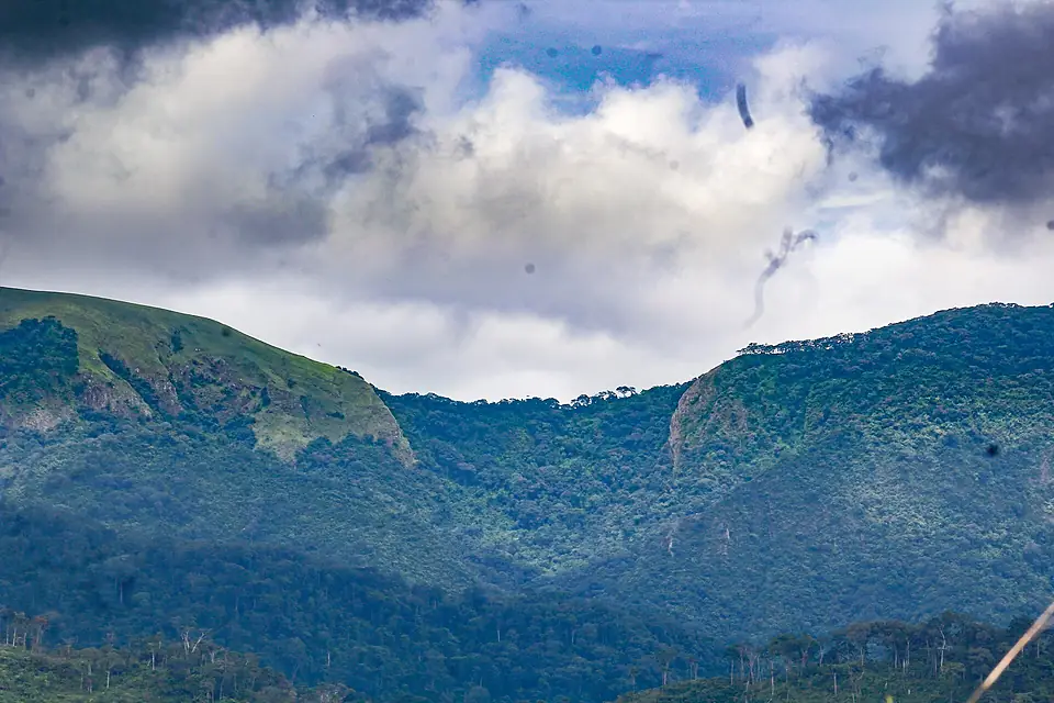 Mont Nimba 08