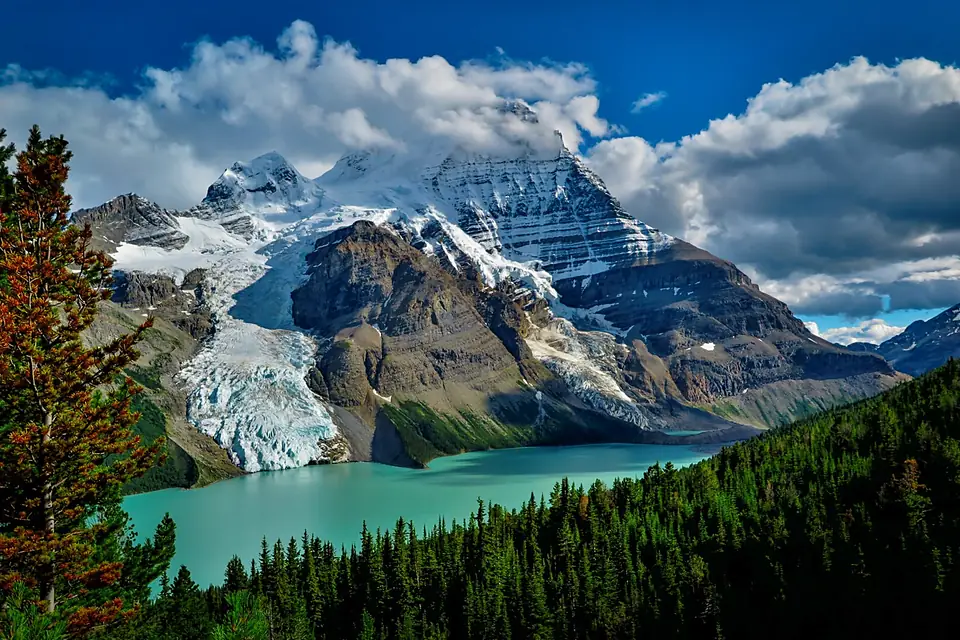Berg Lake And Mt Robson (118064361)