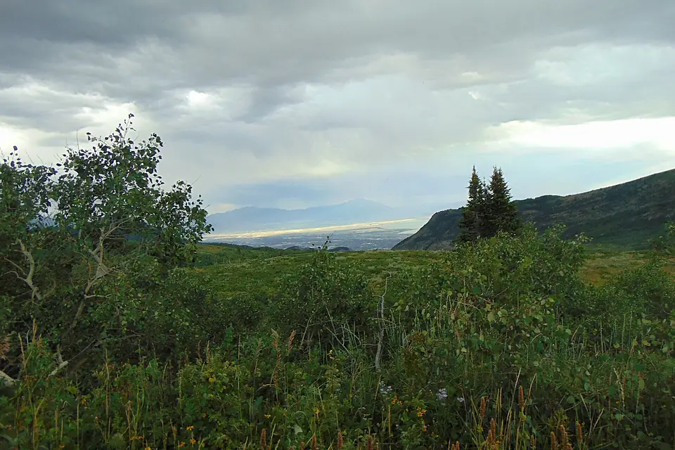 Across a meadow on Mount Timpanogos at Oquirrh Mountains, Aug 17
