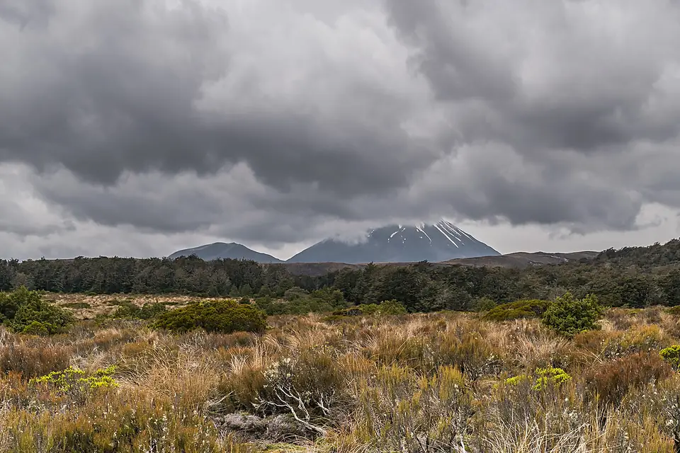 Landscape in Tongariro National Park 06