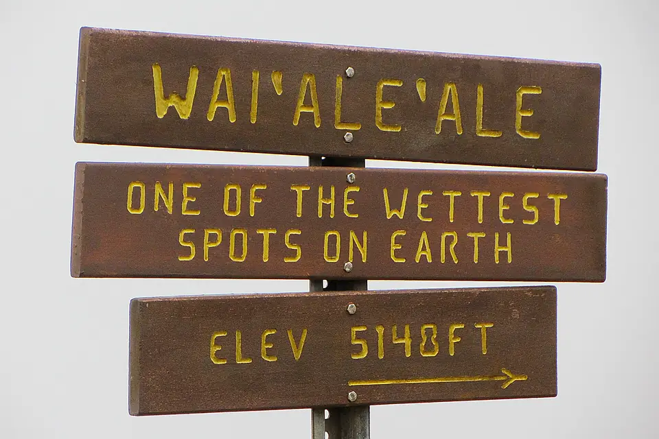 Kokee Park - Pihea Lookout, Pihea Trail, Hanapepe (502977) (16946945606)