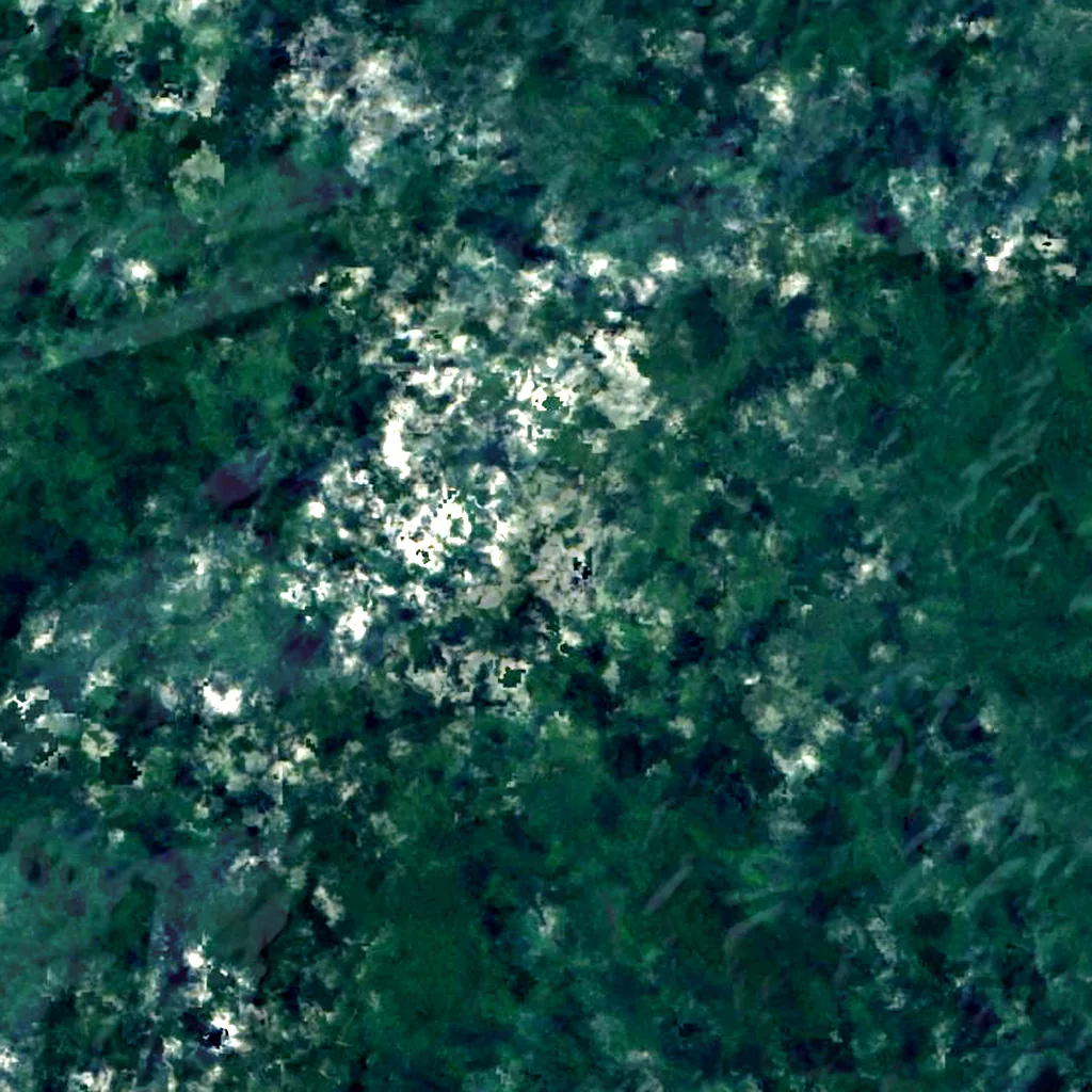 Mount Wokomung seen from above (Sentinel-2)