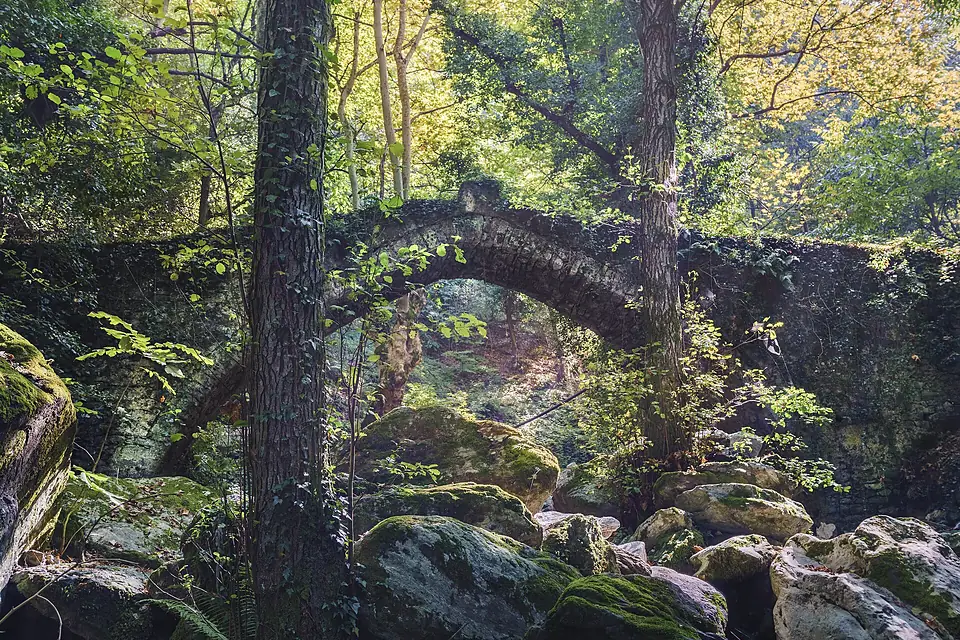 Old stone bridge in Pelion 2