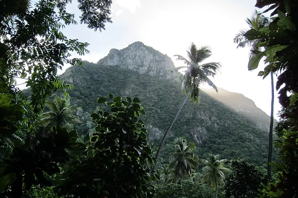 Les Pitons - panoramio