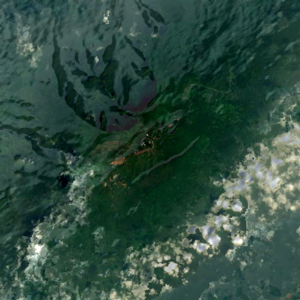 Pico Basilé seen from above (Sentinel-2)
