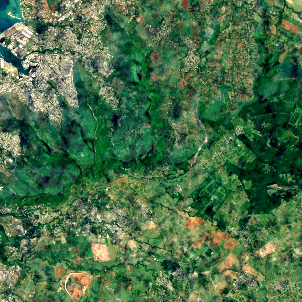 Pieter Both seen from above (Sentinel-2)