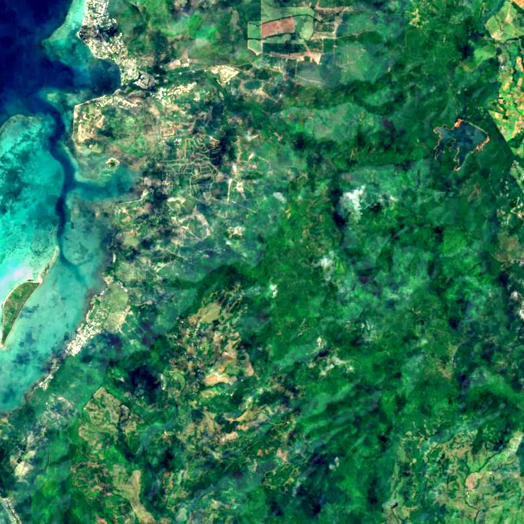 Piton de la Petite Rivière Noire seen from above (Sentinel-2)