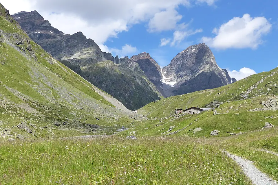 Alp Sout Piz Buin